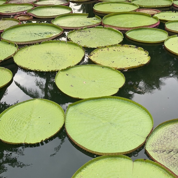 Meet your Posher, Dana - Picture 1 of 1